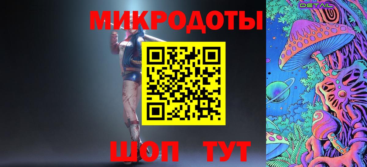 Галлюциногенные грибы Psilocybe Керчь